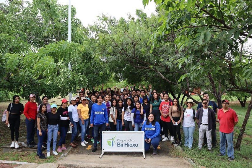 Reforestación Universidad del Istmo