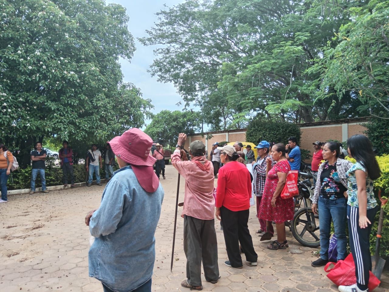 Jornada de Reforestación en Tehuantepec