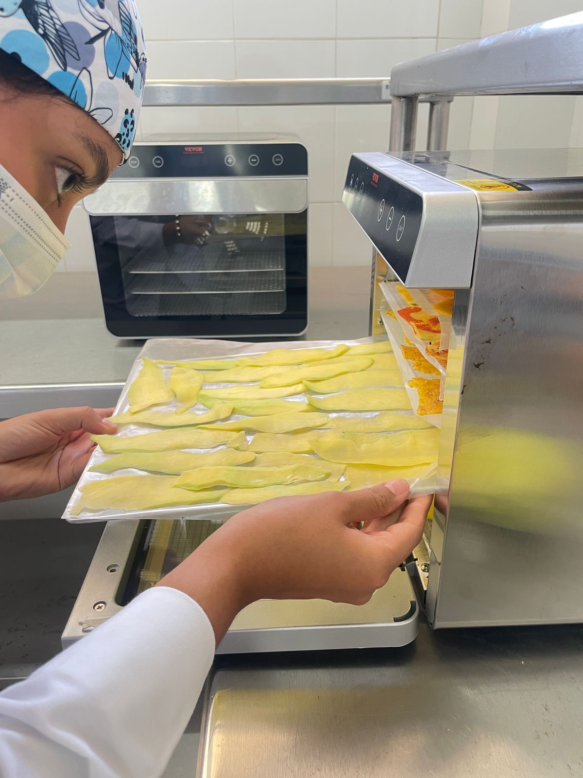 Proyecto Mango Sostenible: Capacitación en Aprovechamiento