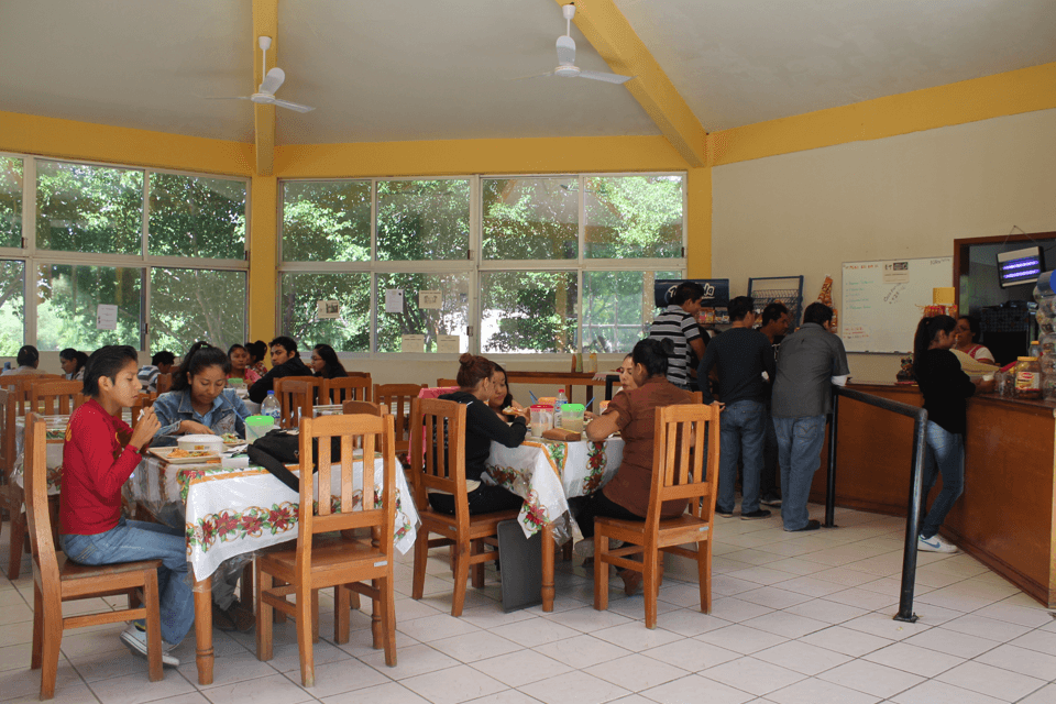 Beca Alimentaria